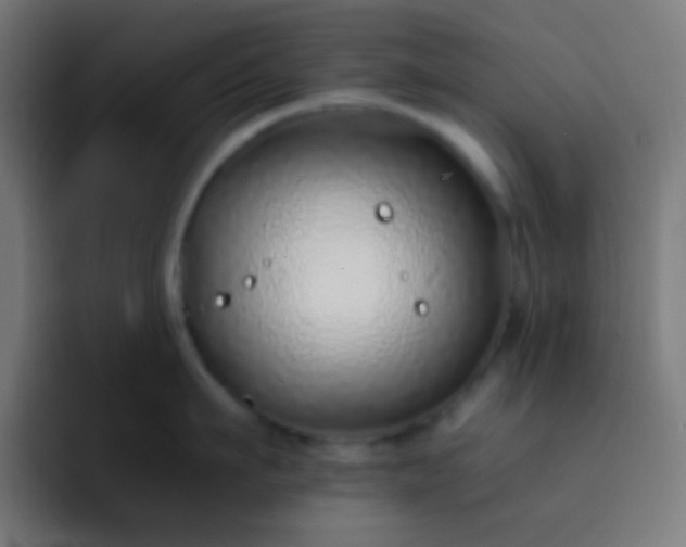 X0000093230911200710101401