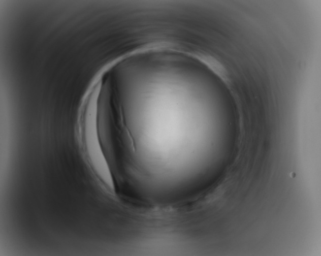 X0000093230912200710101401