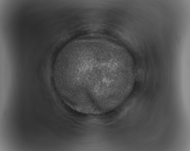 X0000093230913200710101401