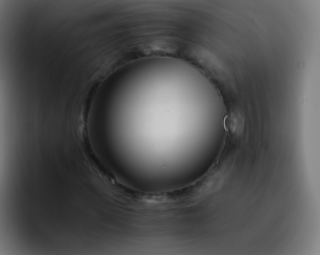 X0000093230915200710101401