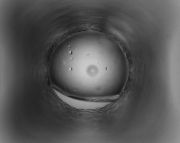 X0000093230917200710101401