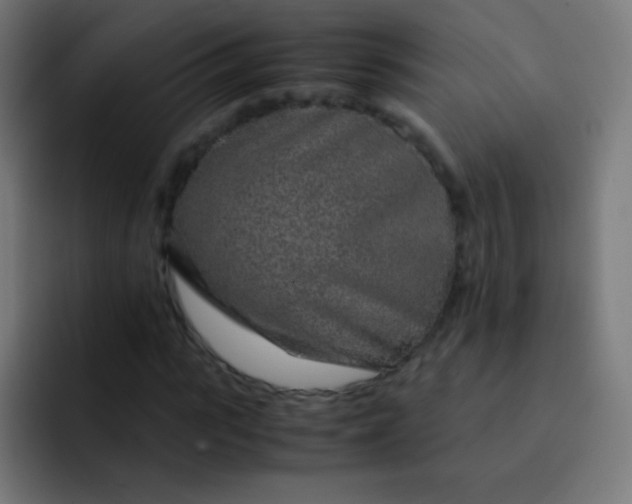 X0000093230919200710101401