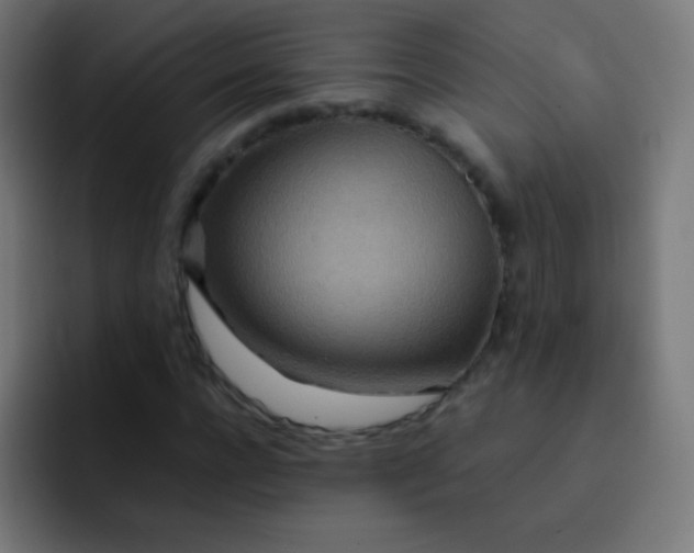 X0000093230920200710101401