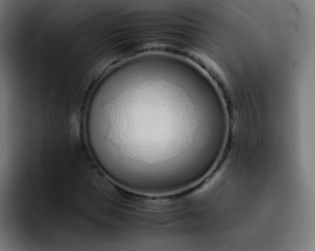 X0000093230921200710101401