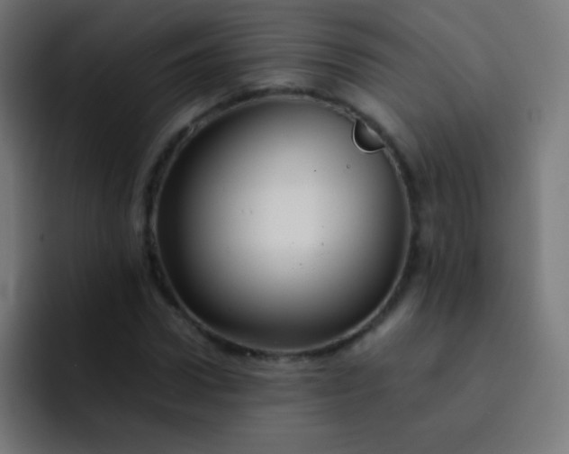 X0000093230922200710101401