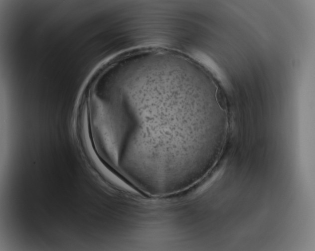 X0000093230924200710101401