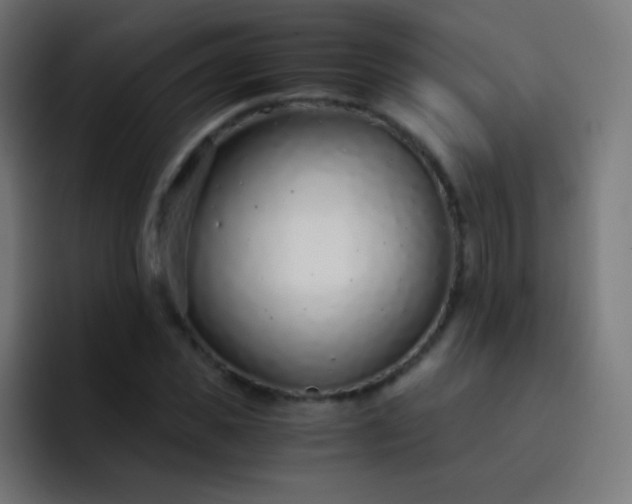 X0000093230925200710101401