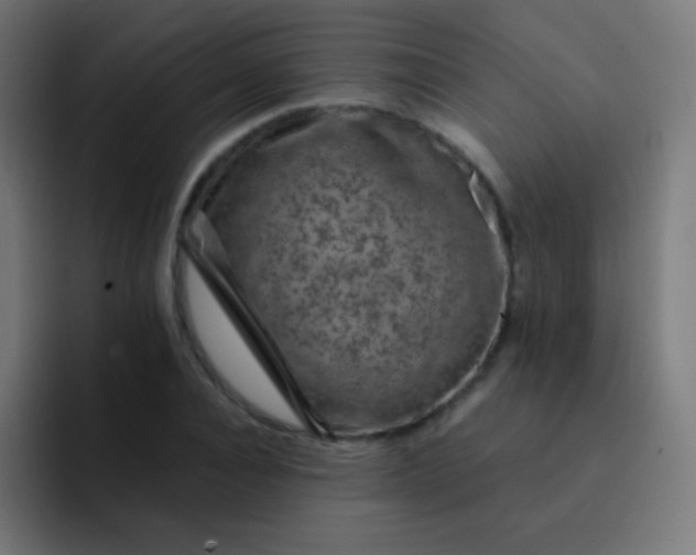 X0000093230928200710101401