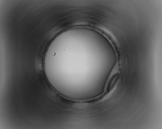 X0000093230929200710101401