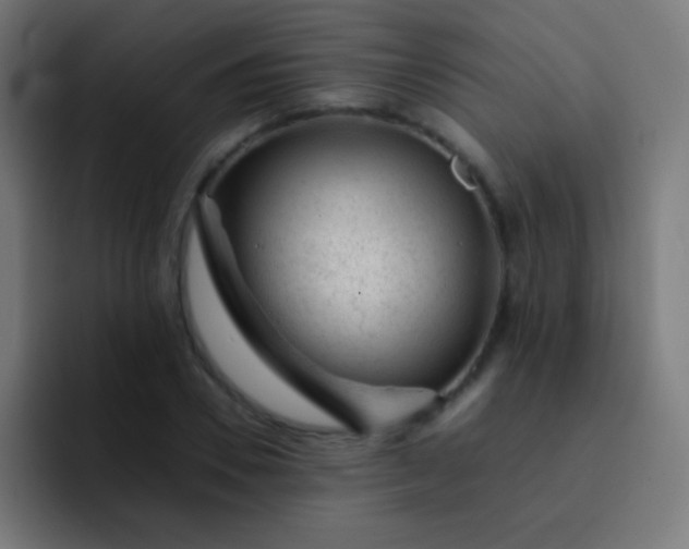 X0000093230930200710101401