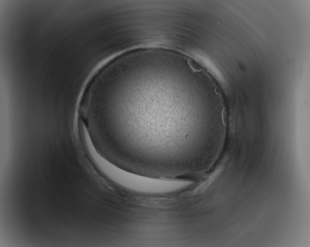 X0000093230932200710101401