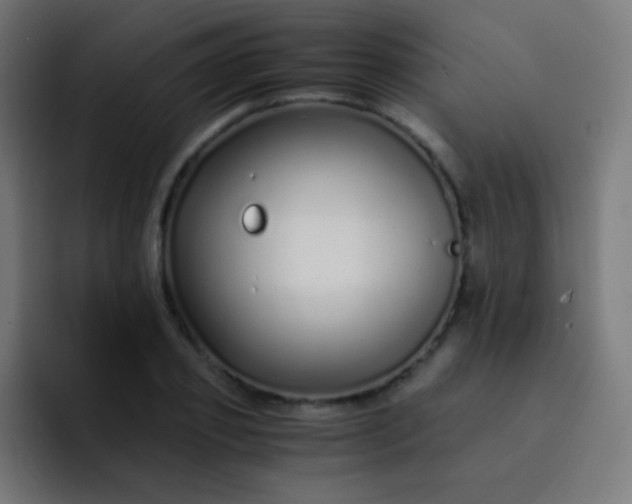 X0000093230933200710101401