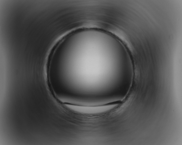 X0000093230935200710101401