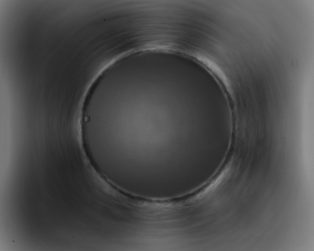 X0000093230941200710101401