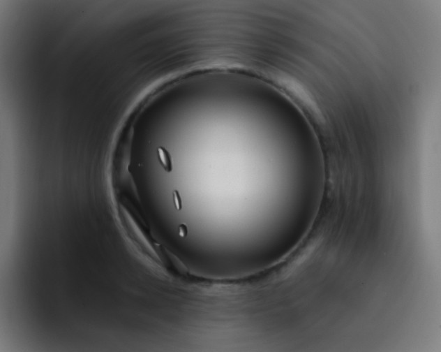 X0000093230942200710101401