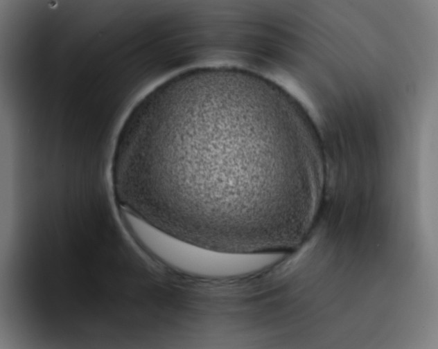 X0000093230943200710101401