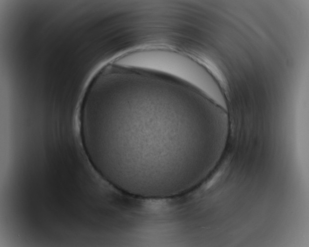 X0000093230944200710101401