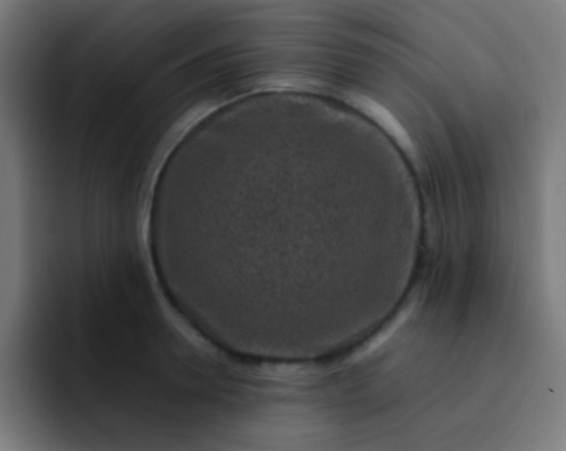 X0000093230946200710101401