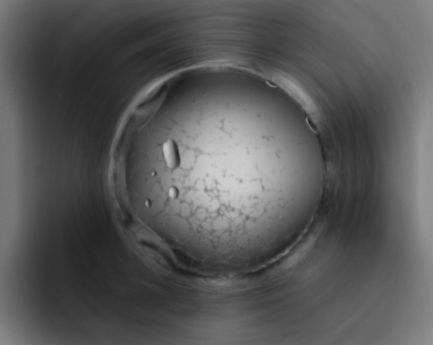 X0000093230948200710101401