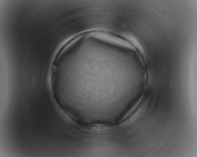 X0000093230952200710101401