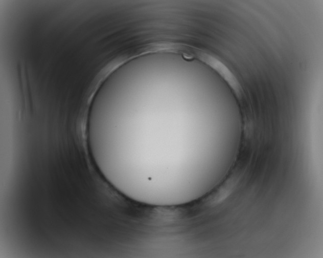 X0000093230954200710101401