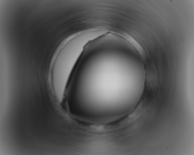 X0000093230956200710101401