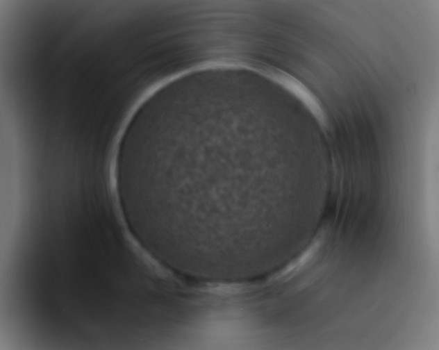 X0000093230958200710101401