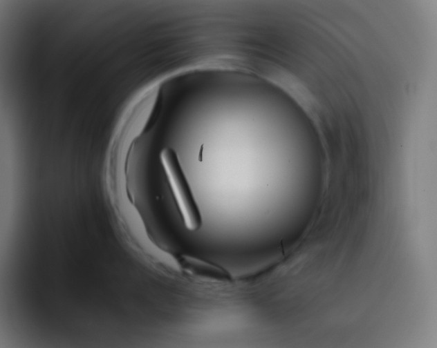 X0000093230960200710101401