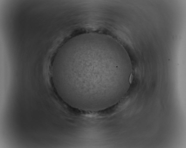 X0000093230961200710101401