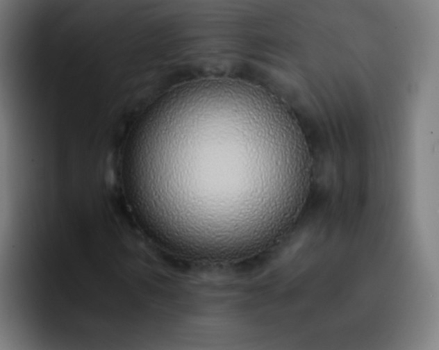 X0000093230962200710101401