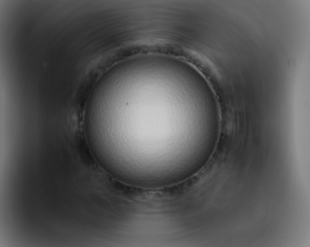 X0000093230966200710101400