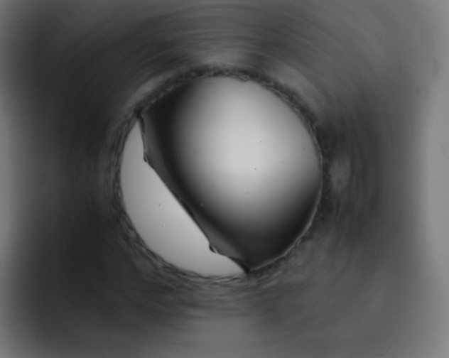 X0000093230968200710101400