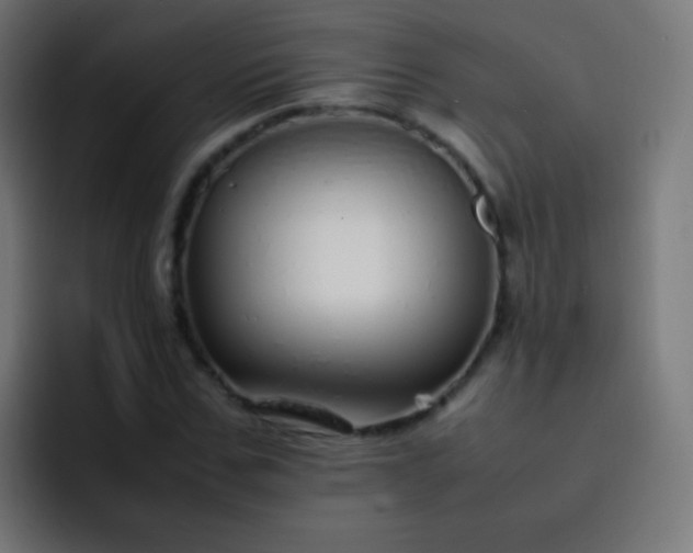 X0000093230971200710101400