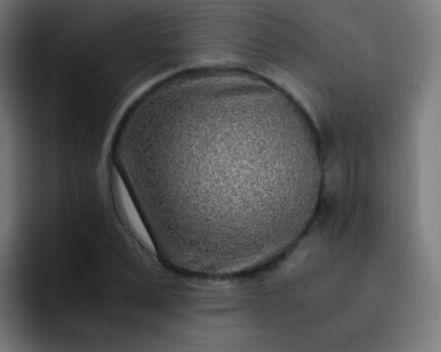 X0000093230975200710101400