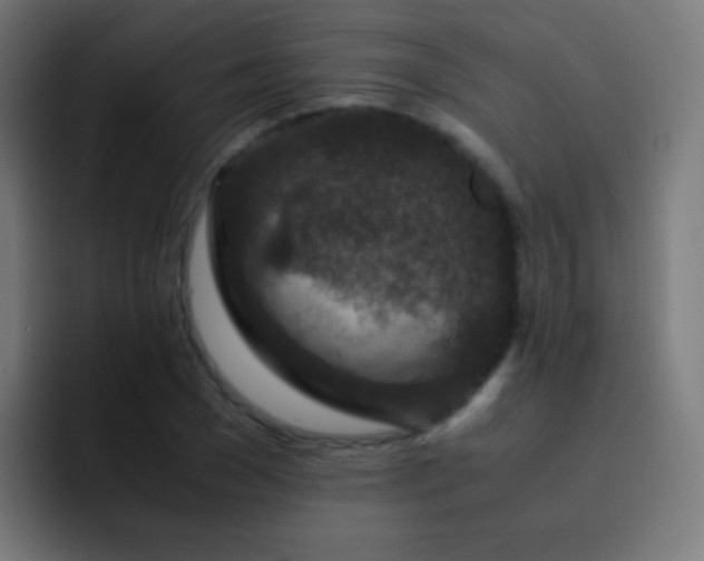 X0000093230977200710101400