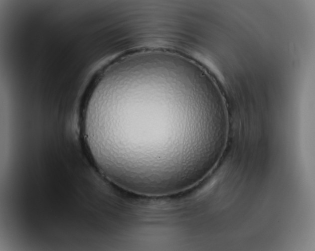 X0000093230979200710101400