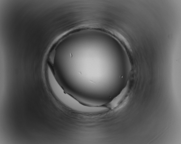 X0000093230981200710101400