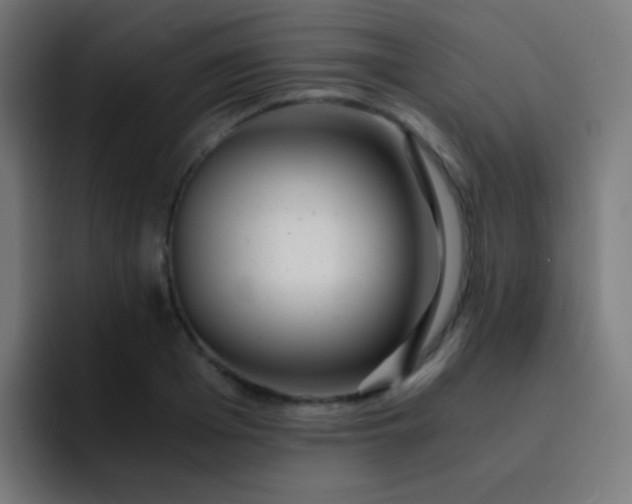 X0000093230985200710101400