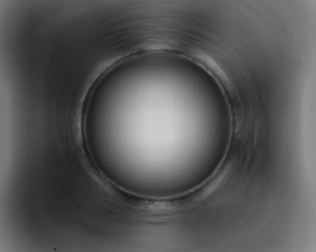 X0000093230986200710101400