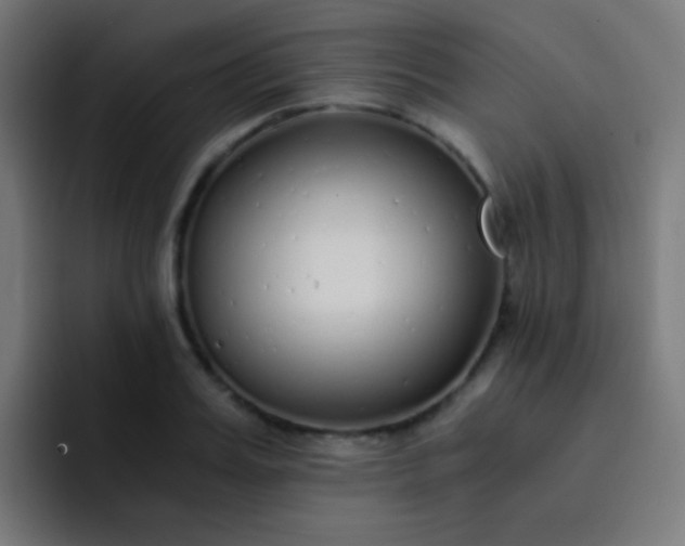 X0000093230987200710101400