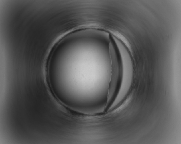 X0000093230989200710101400