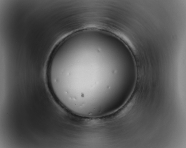 X0000093230991200710101400