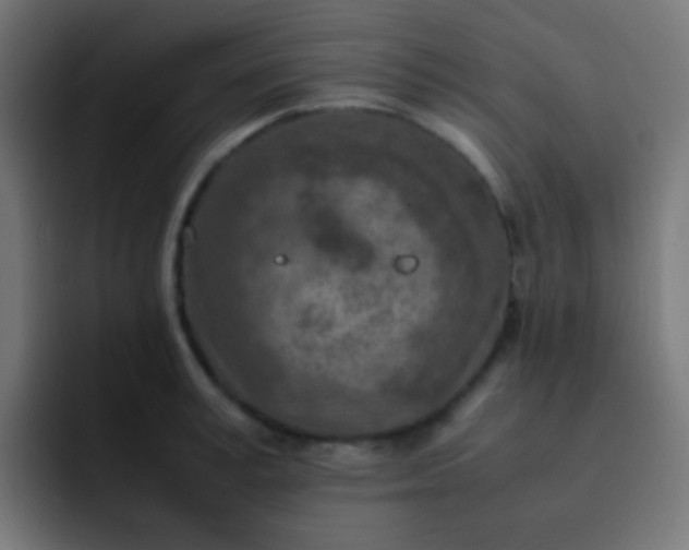 X0000093230995200710101400