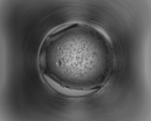 X0000093230996200710101400