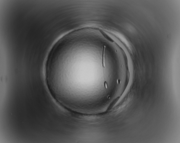 X0000093230999200710101400