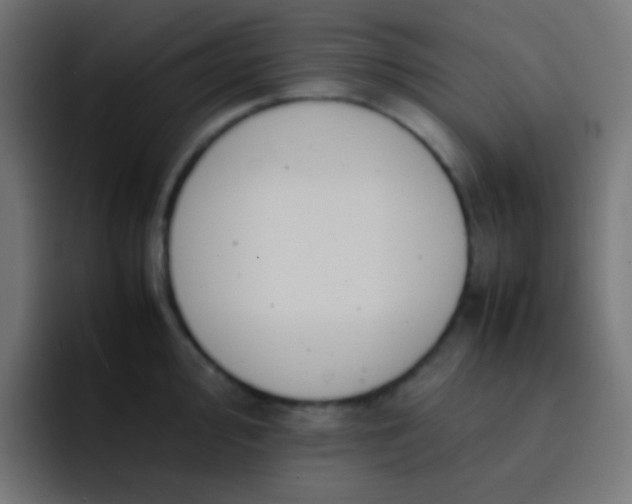 X0000093231000200710101400