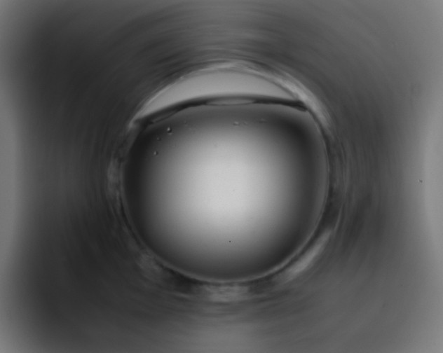 X0000093231001200710101400