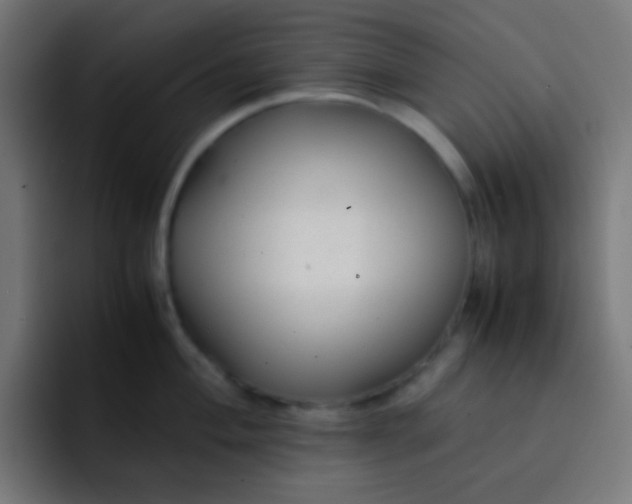 X0000093231004200710101400