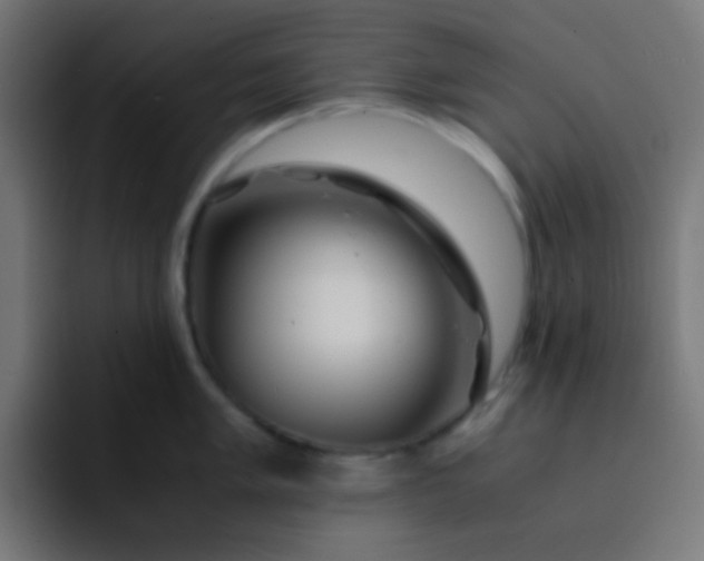 X0000093231005200710101400