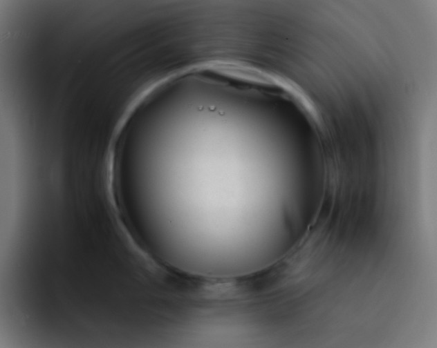 X0000093231006200710101400